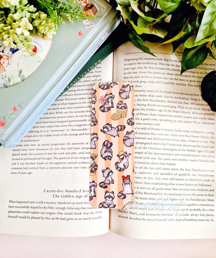 raccoon bookm (3)